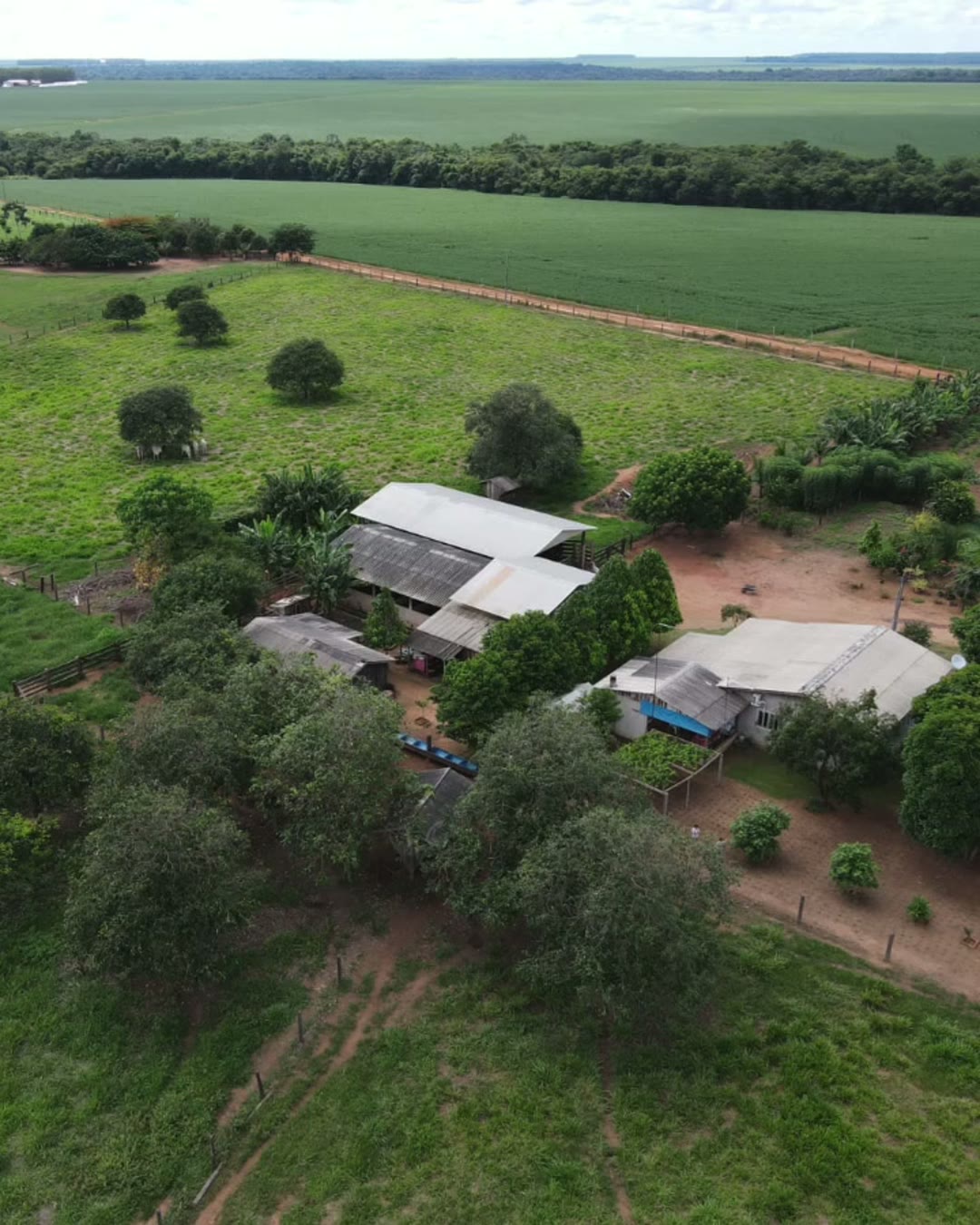 Sítio de 7 hectares na Comunidade Pé de Galinha — Nova Ubiratã, MT
